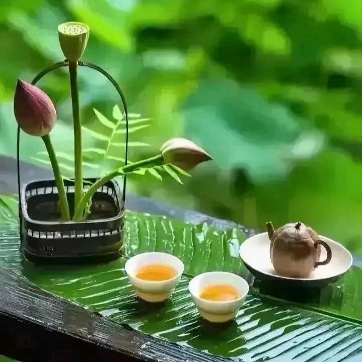 荞麦悦读（早上7：40）