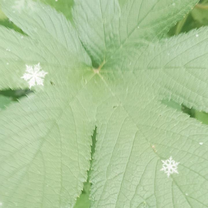 嘀嗒