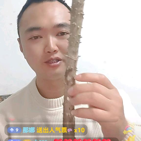 山野植话