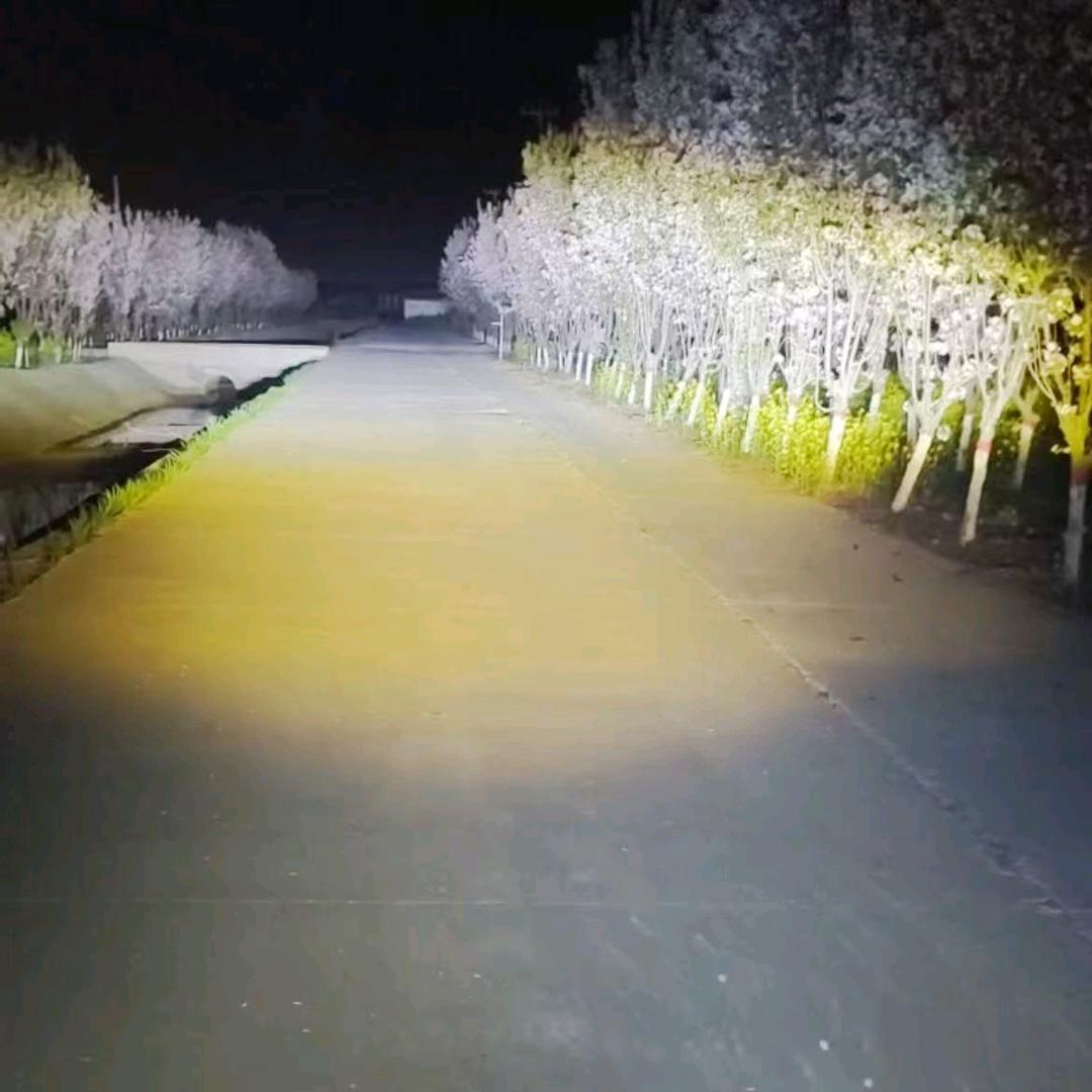 照途优选