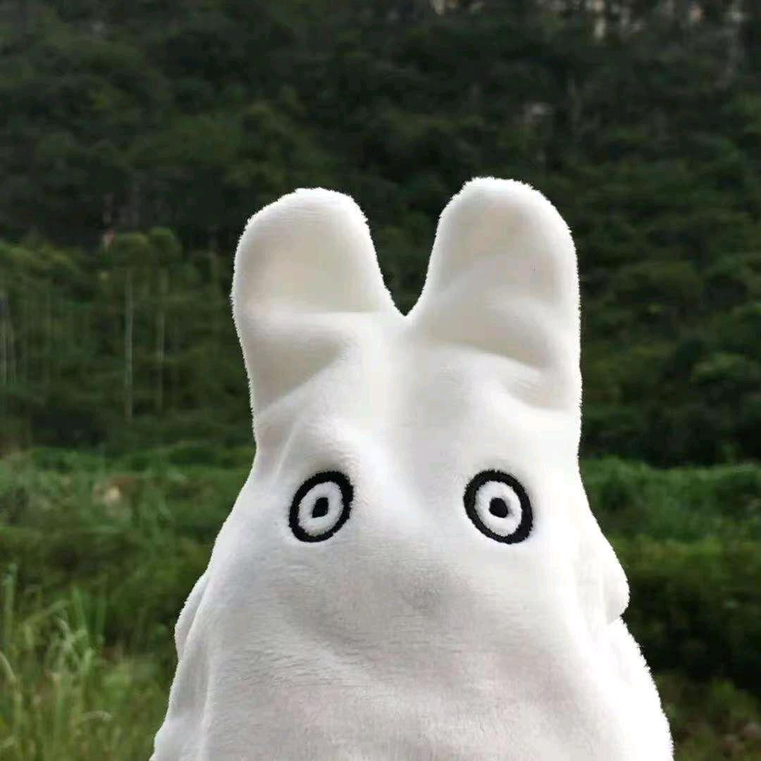 小小买