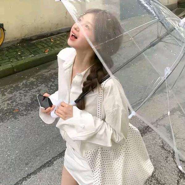 呆呆