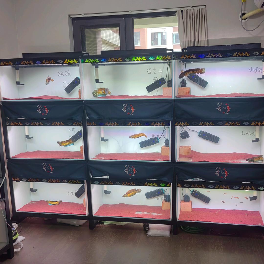 麋鹿雷龙甄选店