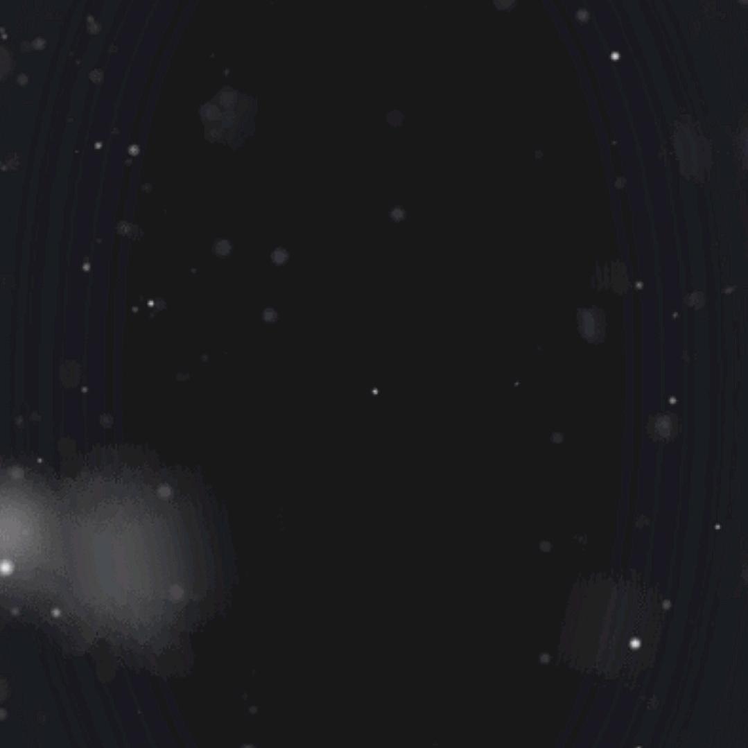 木子易