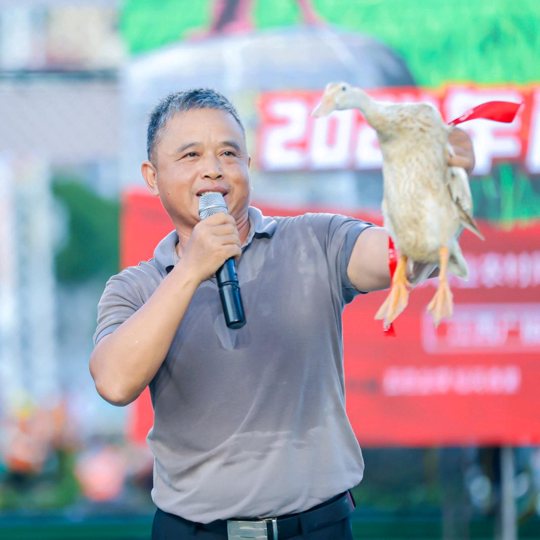 鸭之星