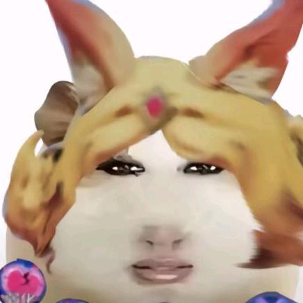 单纯的狐狸
