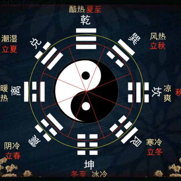 金水易学