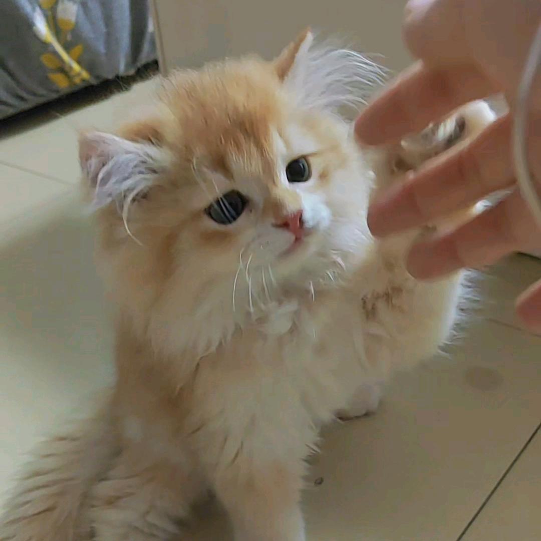 小财*ω*迷এ𝄢