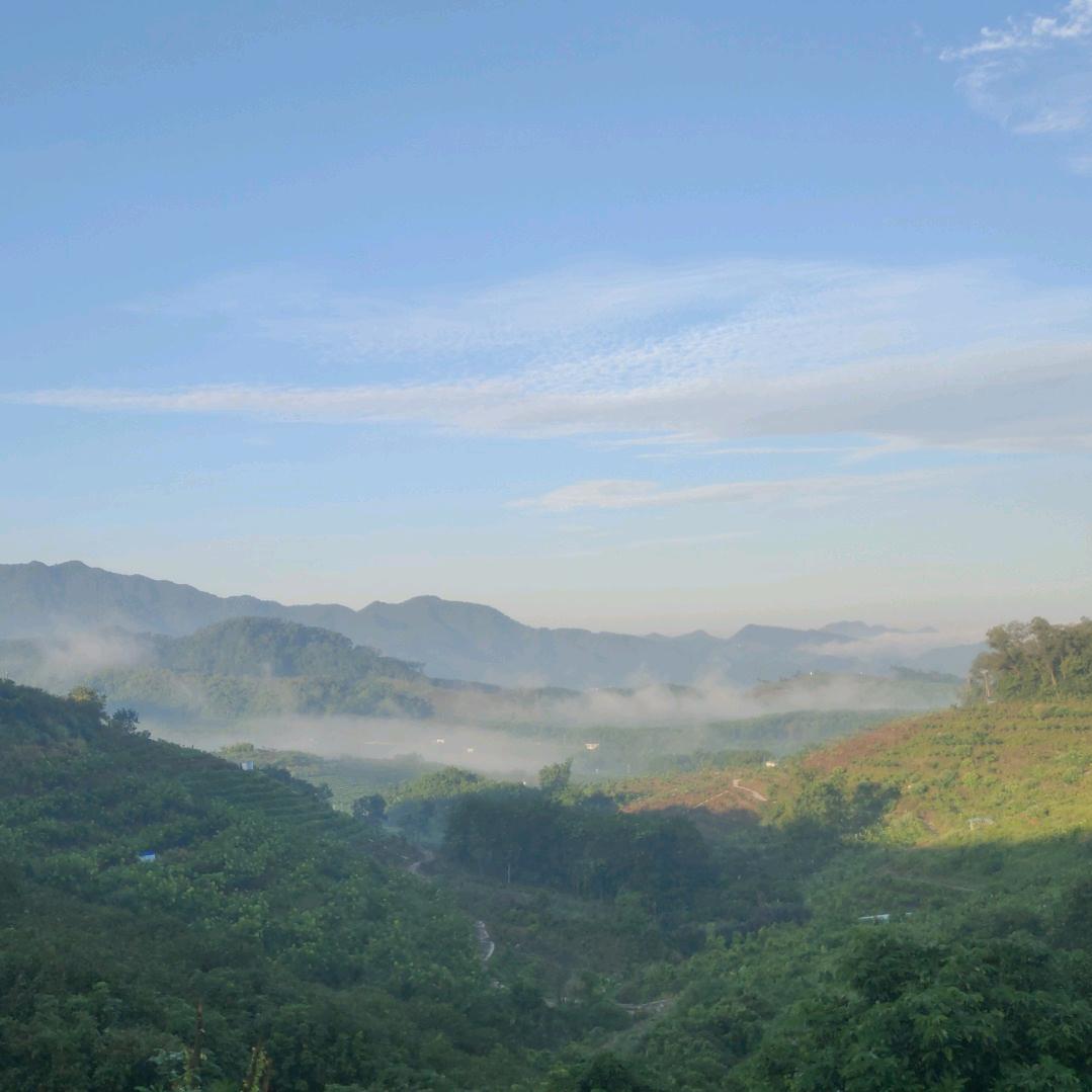 奔向未来🐲🐲🐉🐉