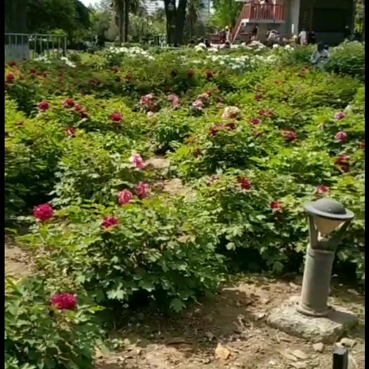 ༒一笑༒而过༒