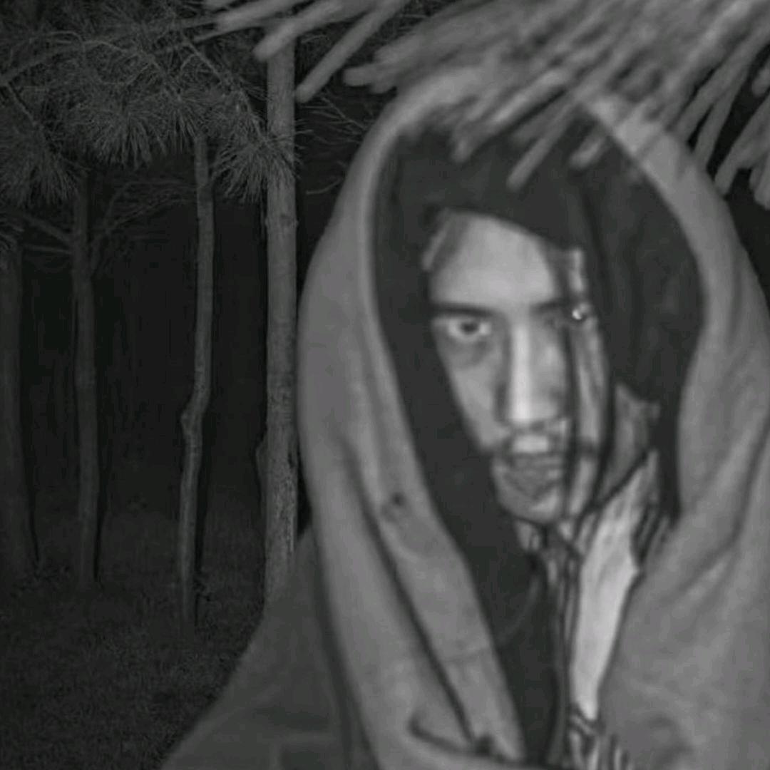 53