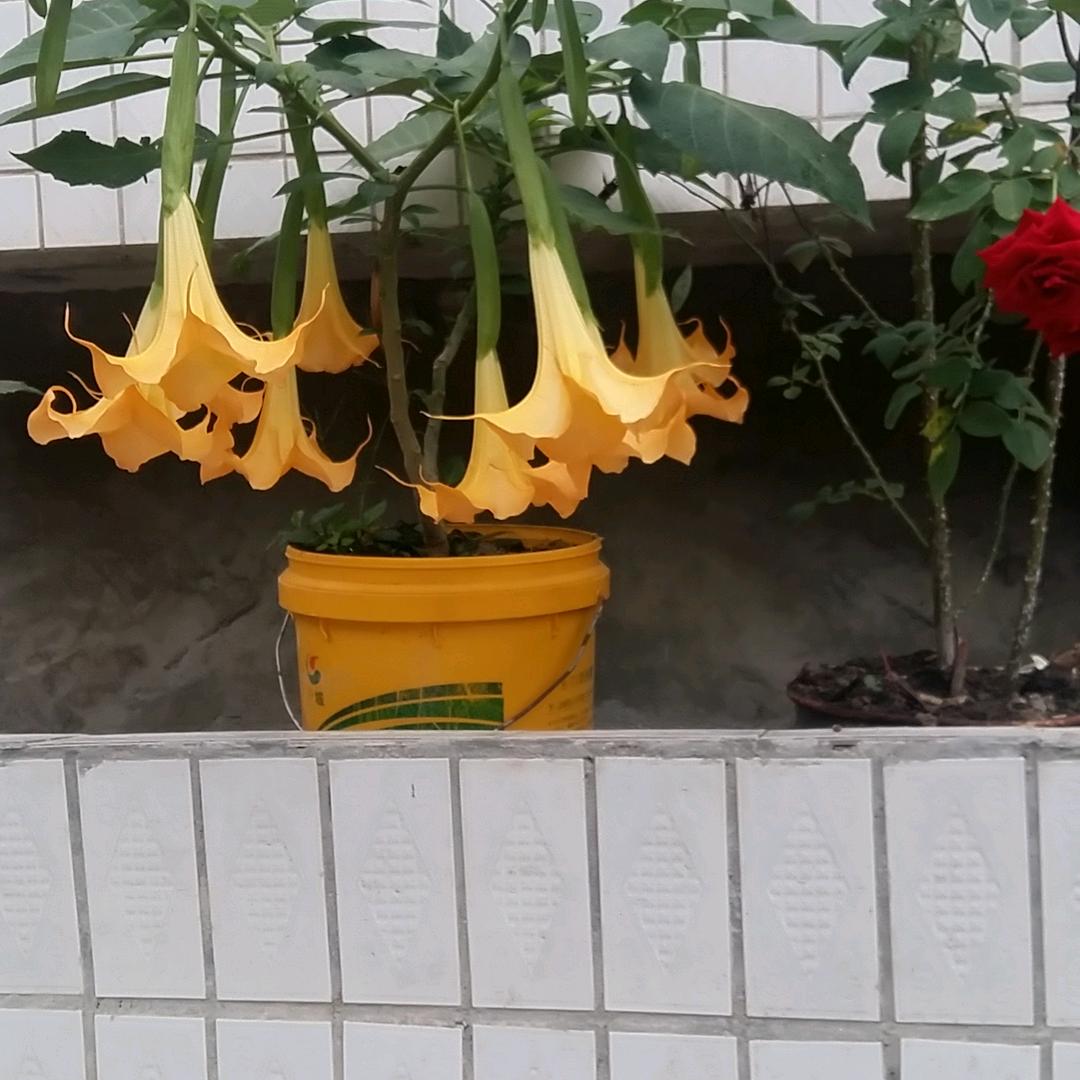 小会