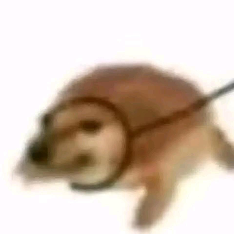 人