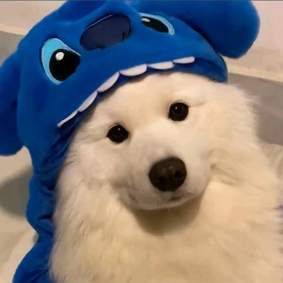 远方云烟
