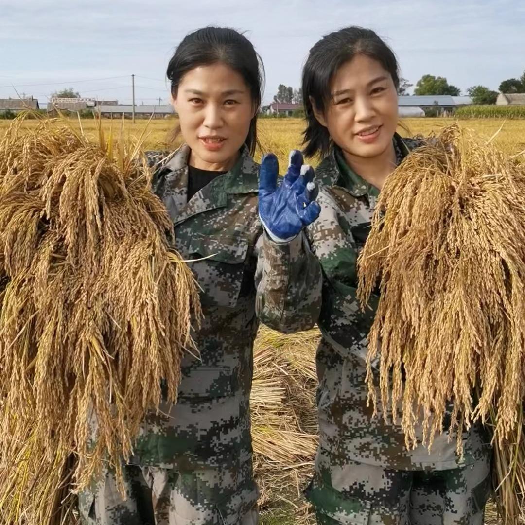 五常市稻玺年水稻种植专业合作社