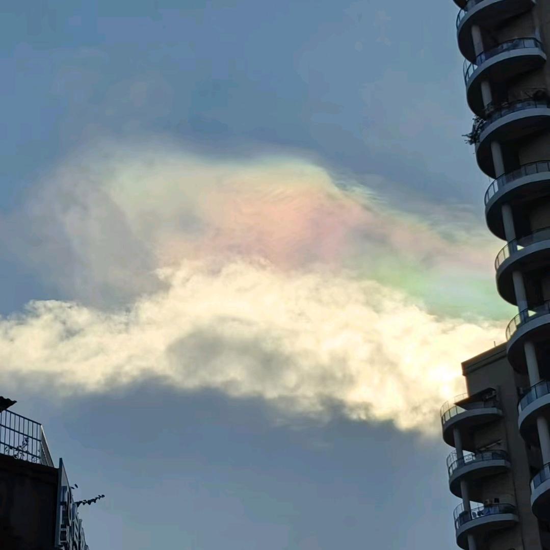 (((o(*°▽°*)o)))七秒记忆