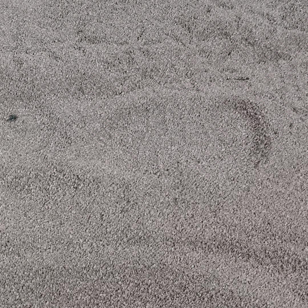 山野里的小团子🐯