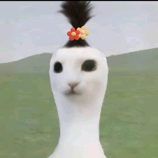 咖咖