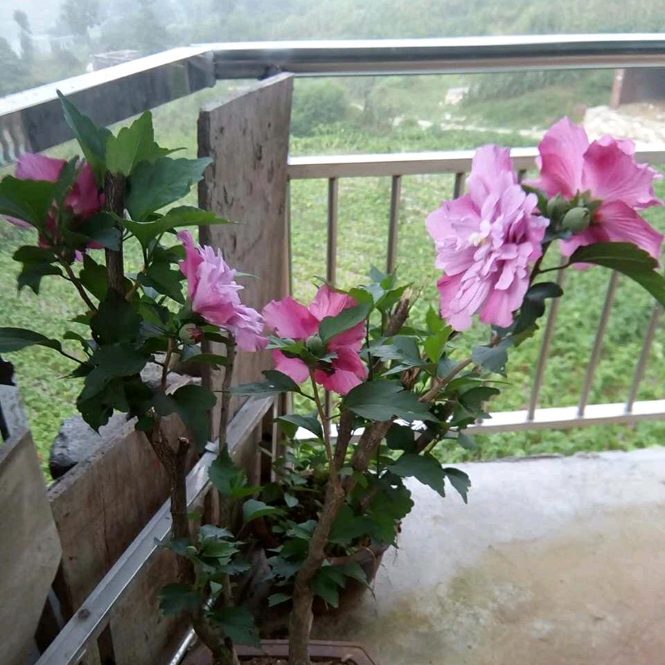 扯淡人生