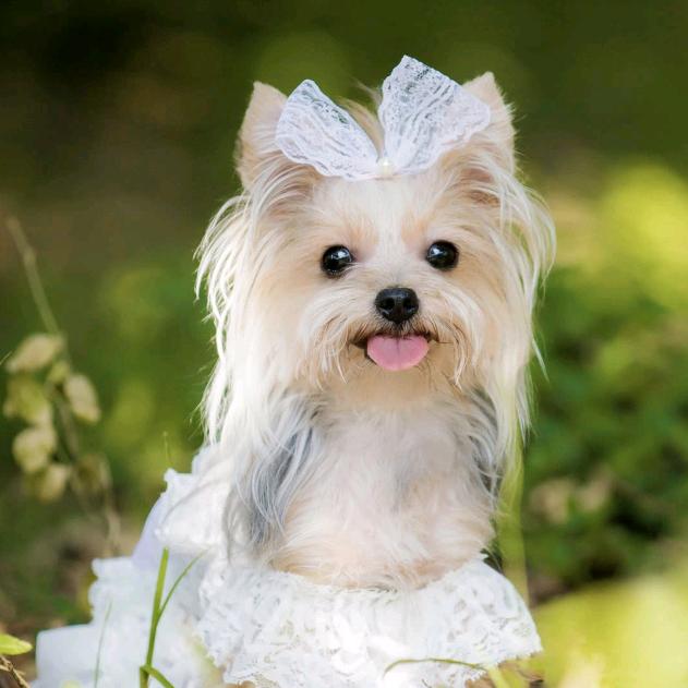 零碎的岛始终会遇到海