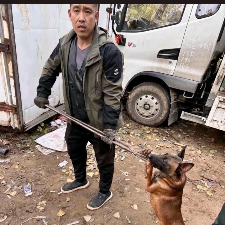 AAAA专业套狗谢师傅 （先套后付）