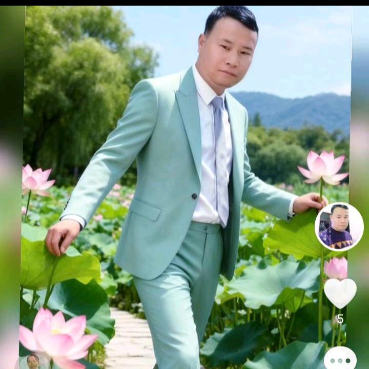 单身情歌
