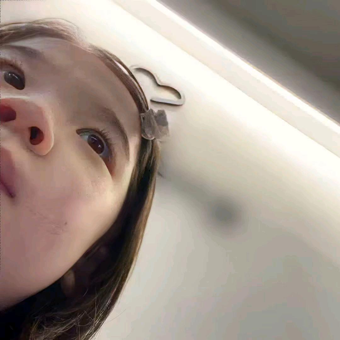 鼠豚