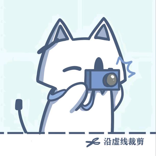一卷猫