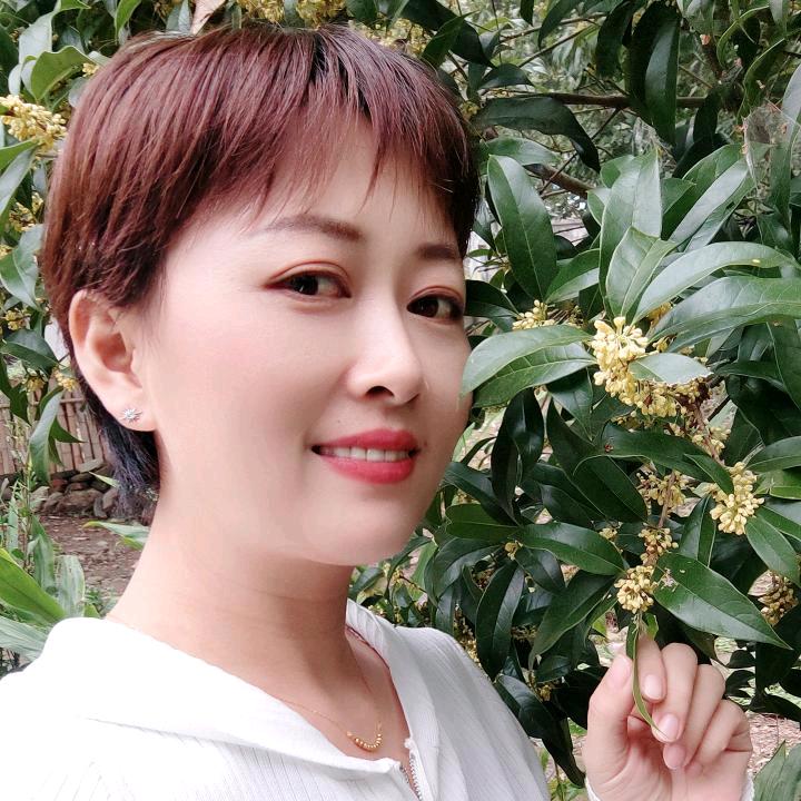 兰香品质瓜片