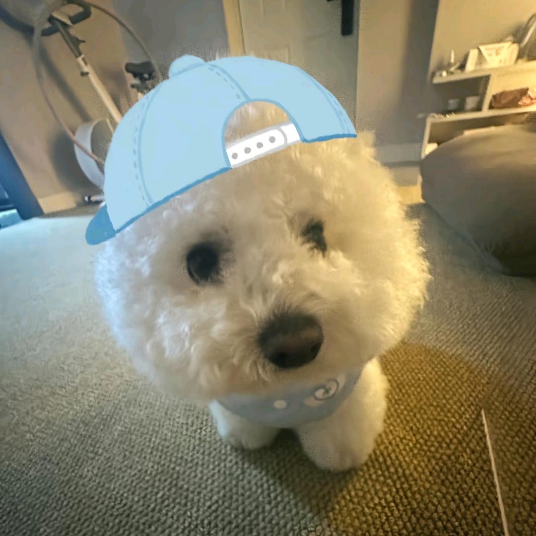 小锐想睡觉💤
