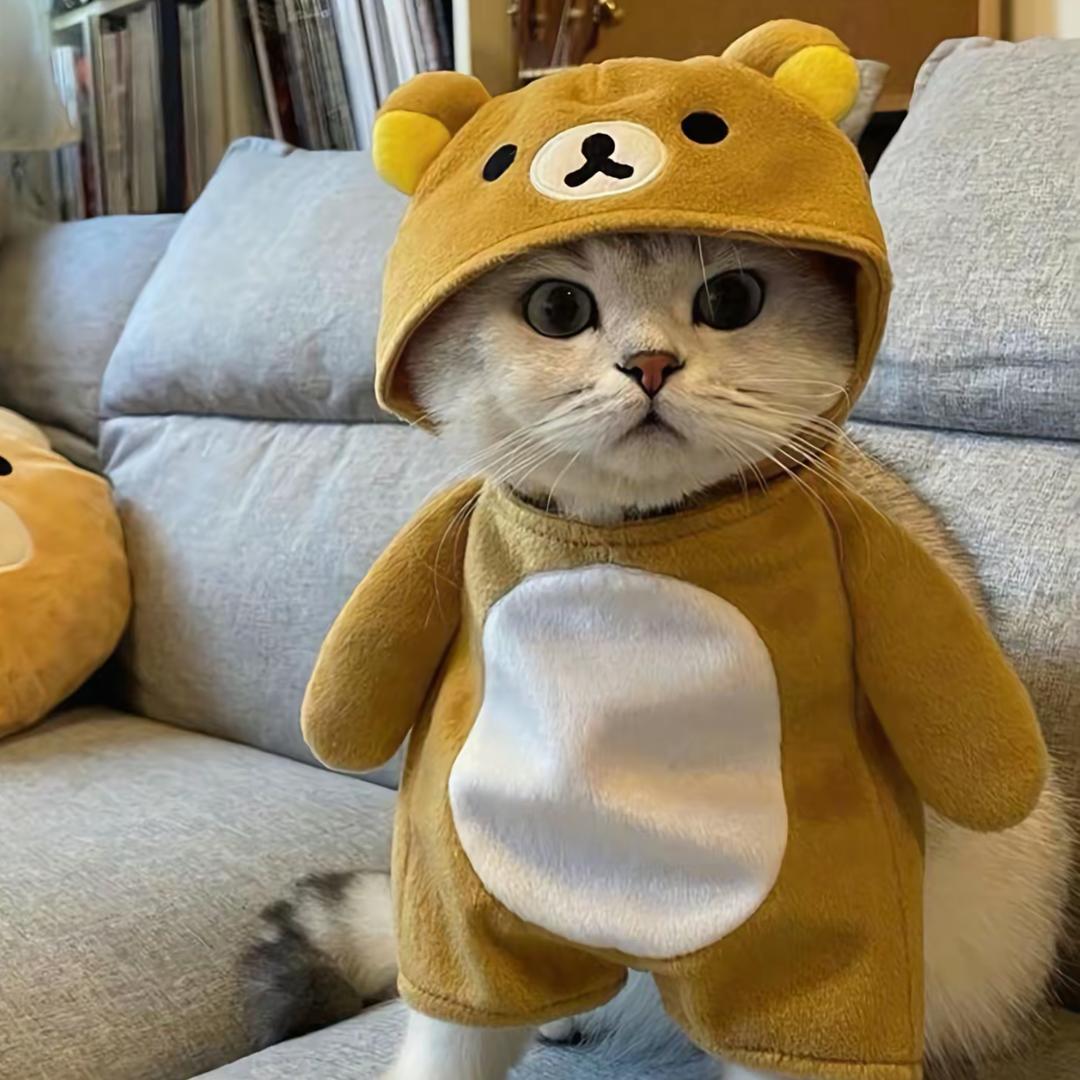 不爱练腿的迪仔