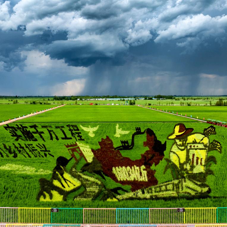 塞纳艺术田园客服