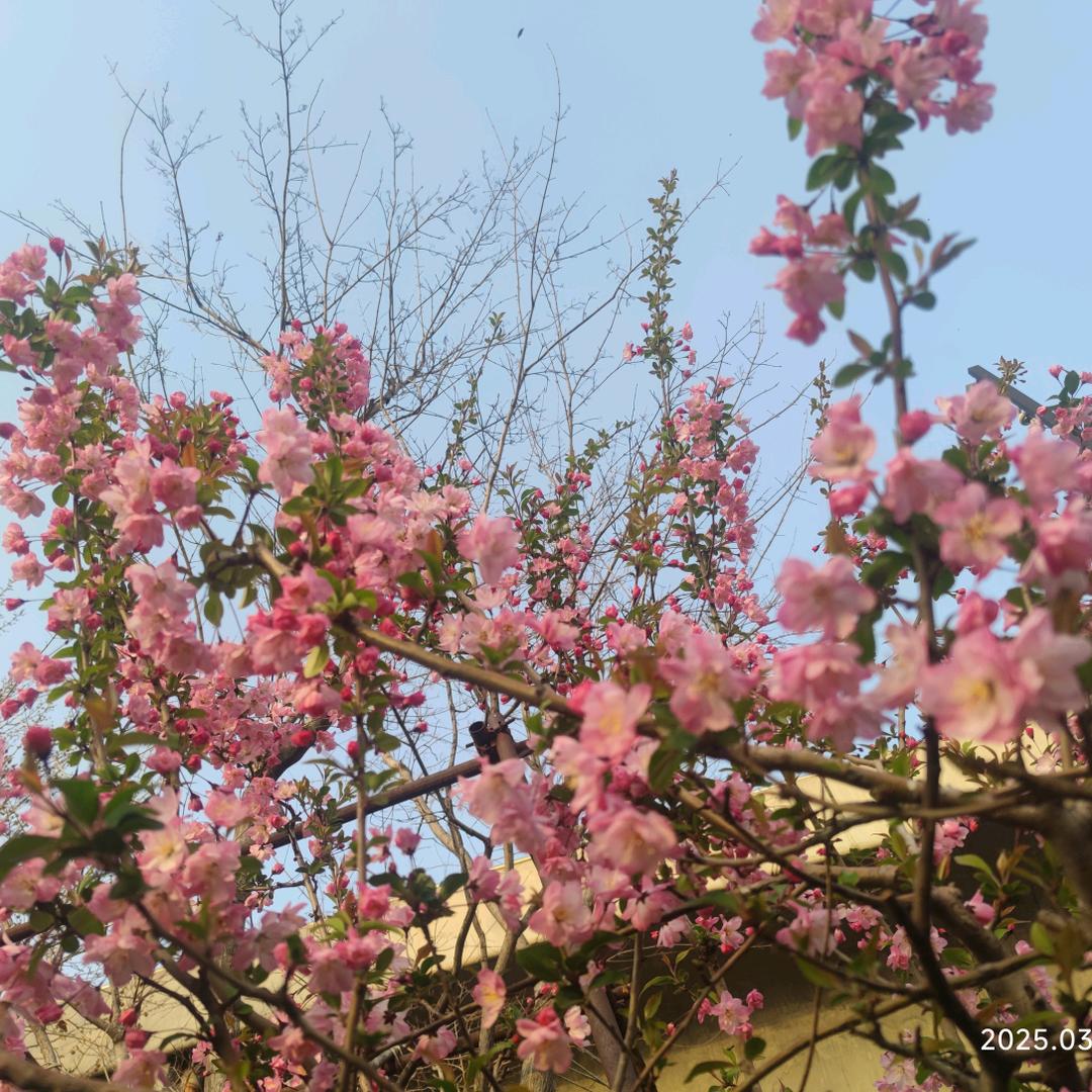 无忧食品供应链