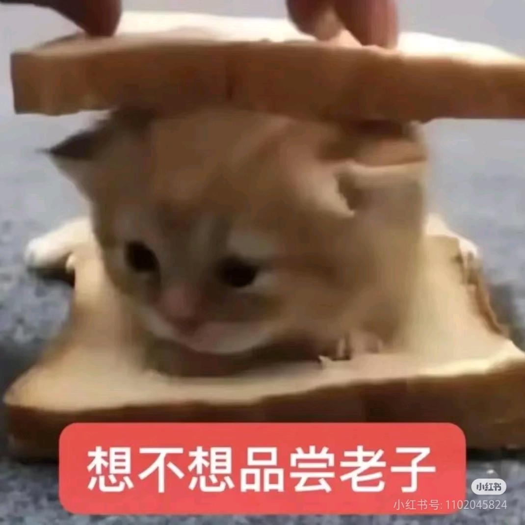 Luigi(三角洲黑奴)