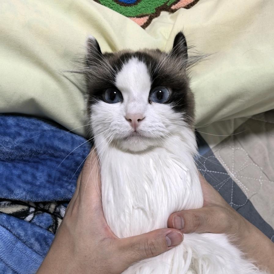 又是不理我的一天