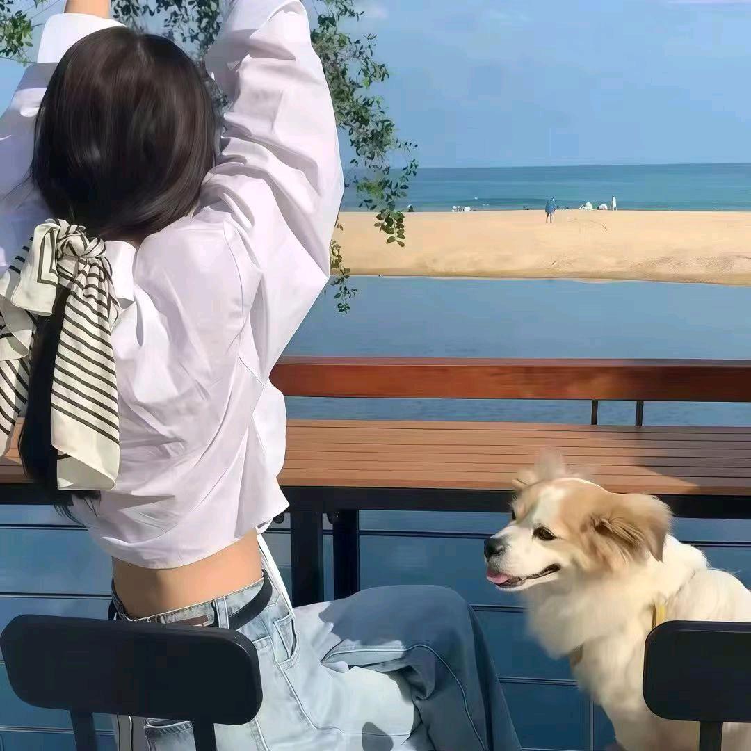 去拉萨买西瓜🍉