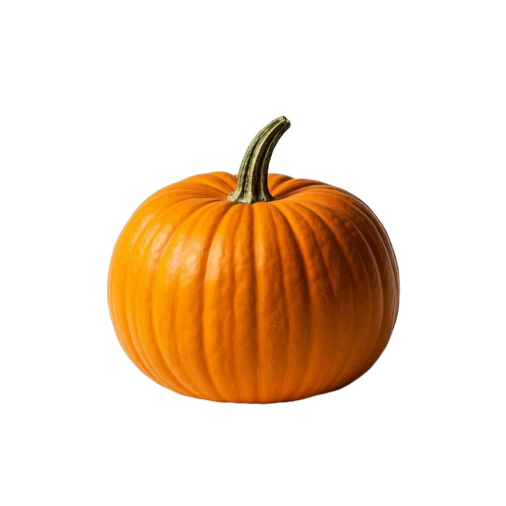 深情南瓜🎃