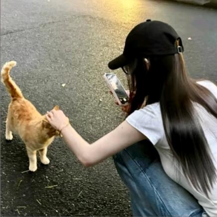 别吵我睡觉