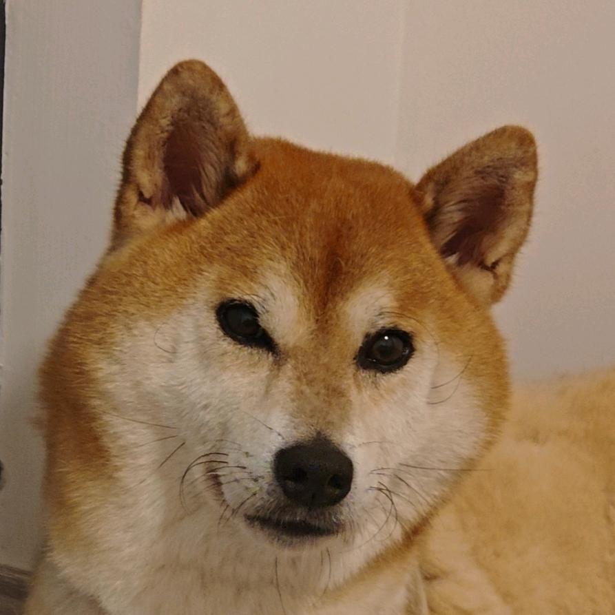 二狗爱健身