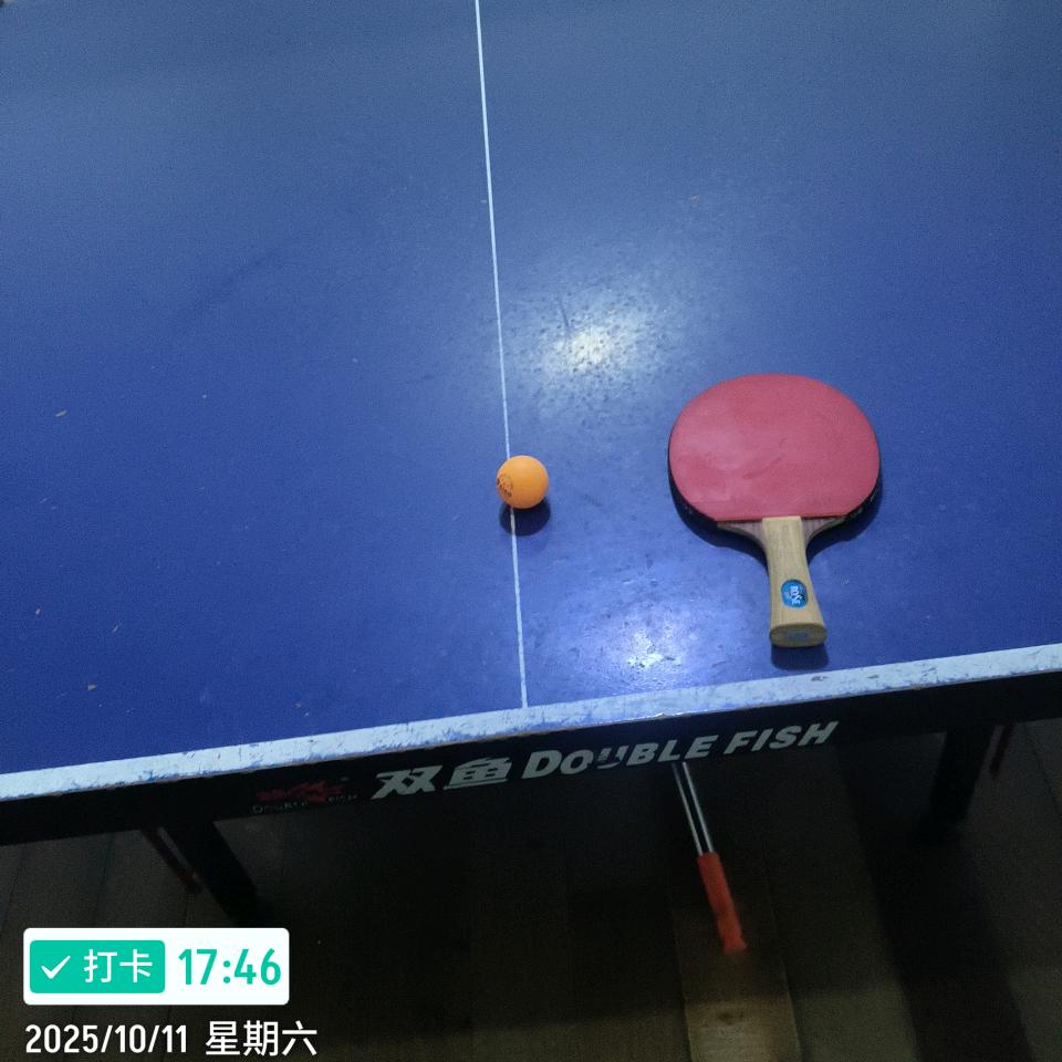 苏州特产鸡头米芡实种