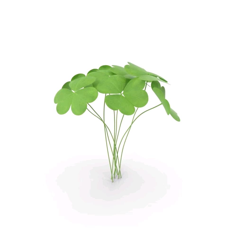 油条豆浆豆腐脑