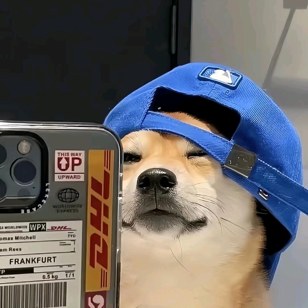 小笨蛋