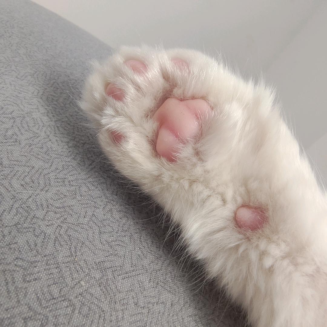 小小