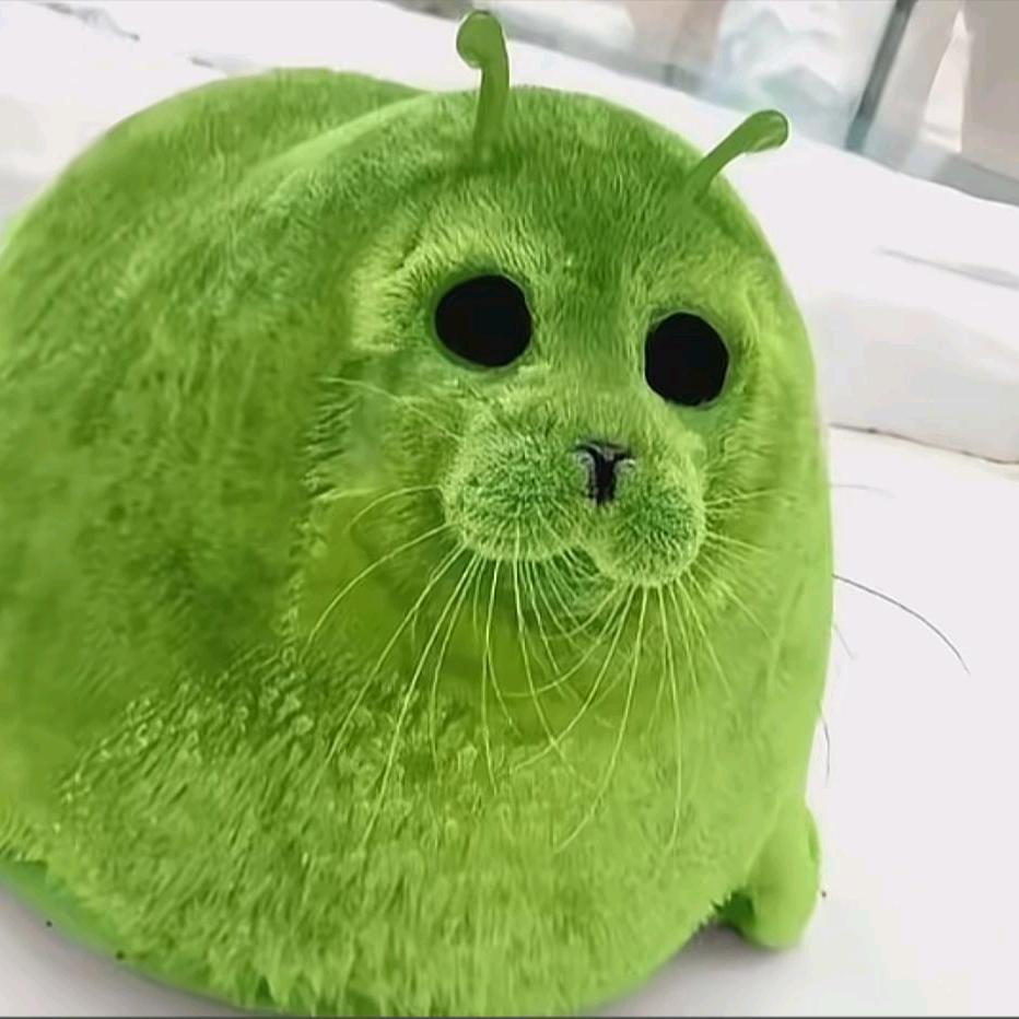 我是绿色海豹