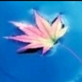 不容易