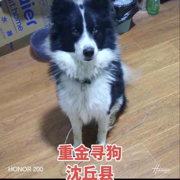 云飞飞