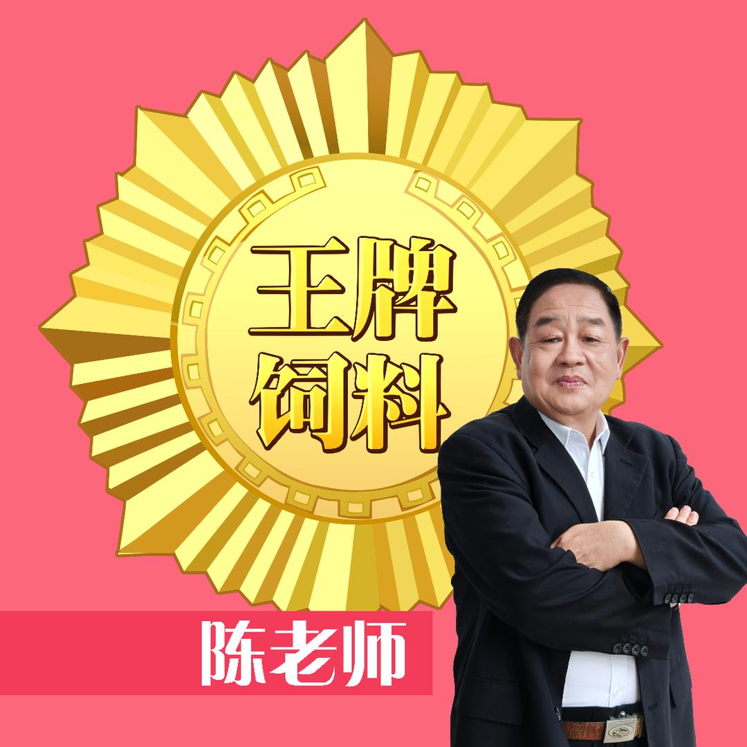 陈老师聊养猪