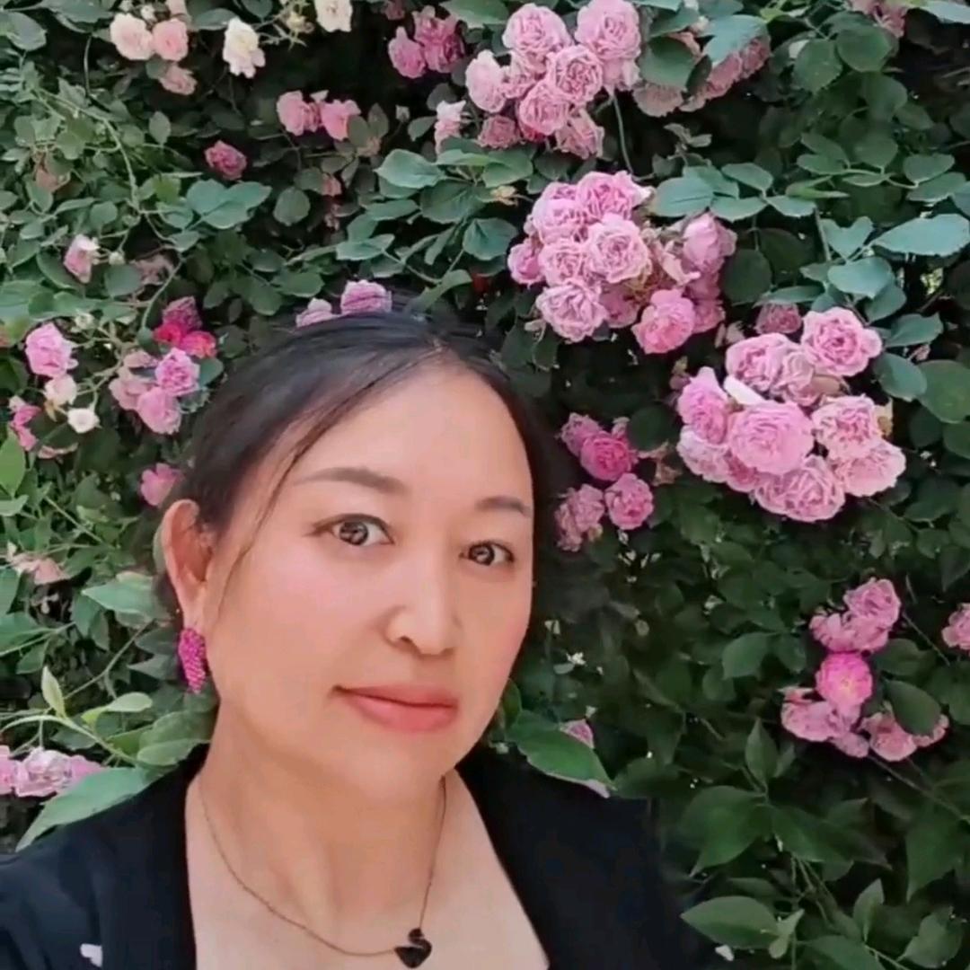 聊城大明电器宋姐