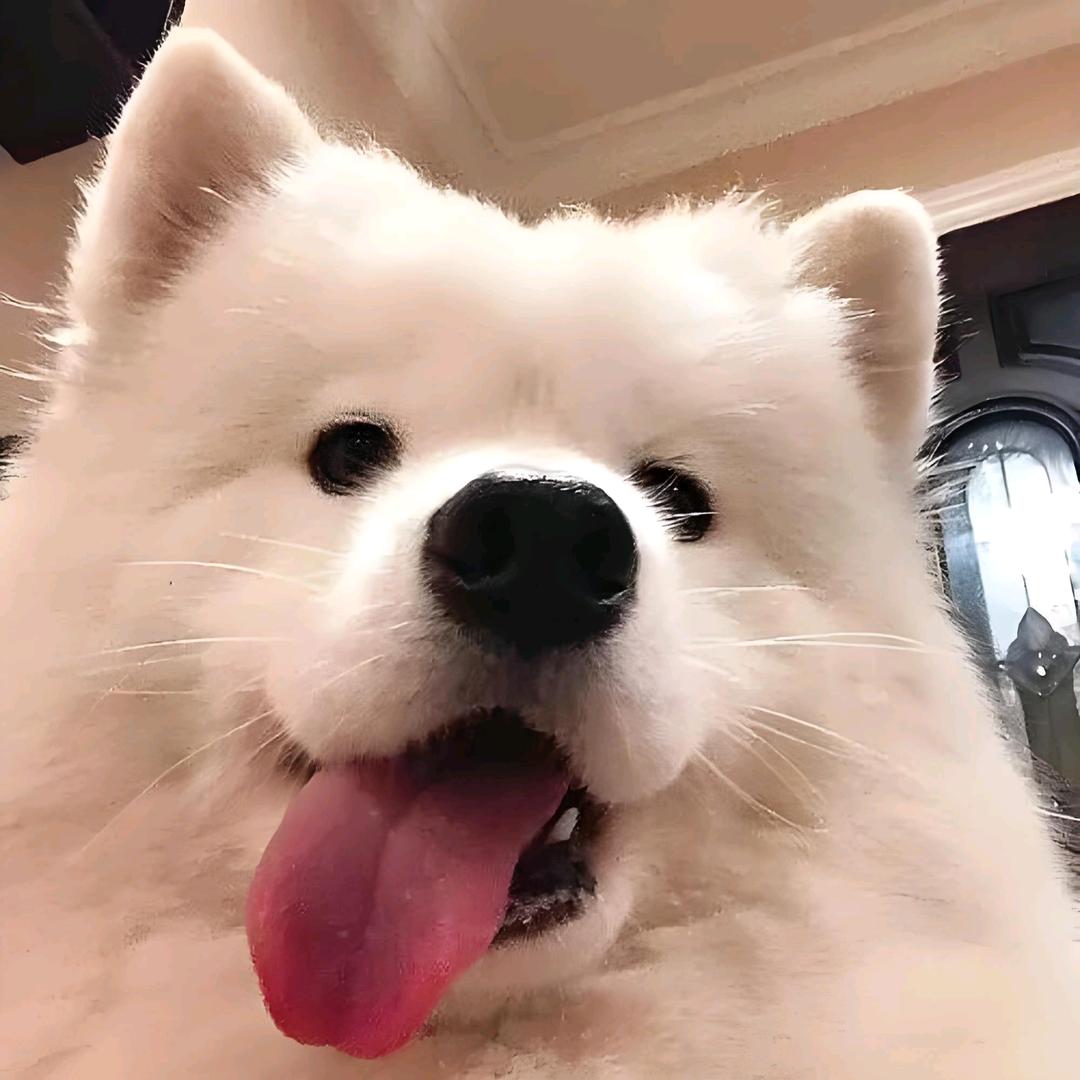 QAQ.