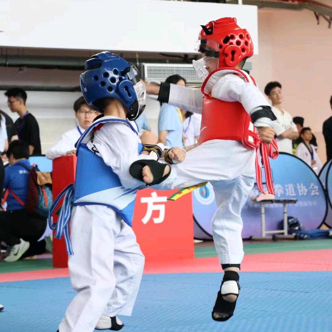 新精武会—跆拳道